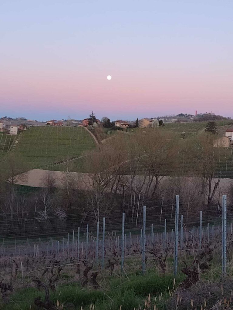 WhatsApp Image 2024-08-07 at 10.34.59 (3)