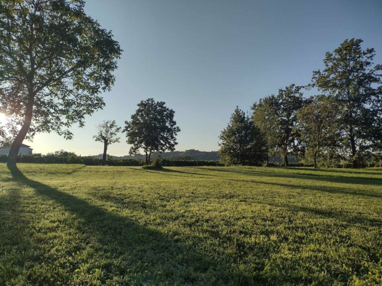 WhatsApp Image 2024-08-07 at 10.35.00 (4)