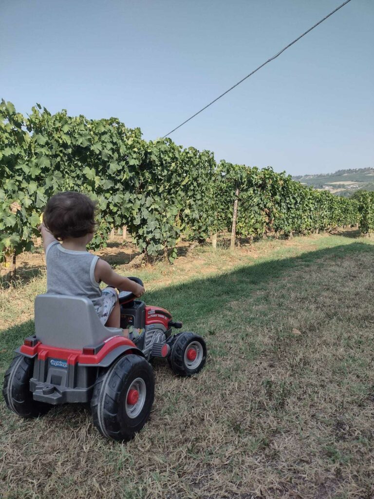 WhatsApp Image 2024-08-07 at 10.35.01 (1) (1)