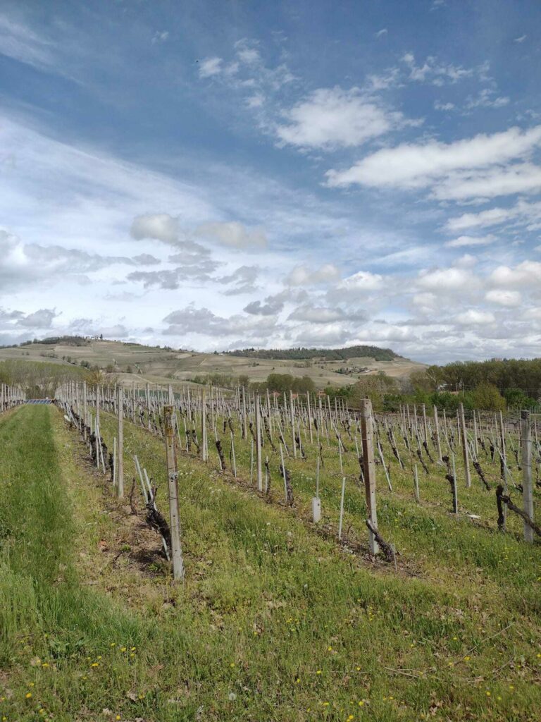 WhatsApp Image 2024-08-07 at 10.35.01 (2) (1)